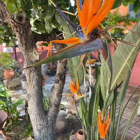 Antonia Avec Piscine Commune - Centre Διαμέρισμα *